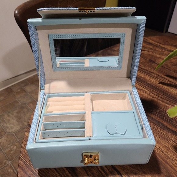 Other - Blue Snake skin Jewelry Box & Travle Case